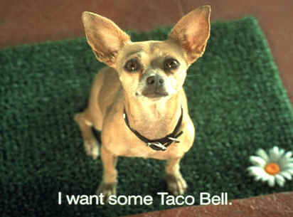 Taco Bell chihuahua dies
